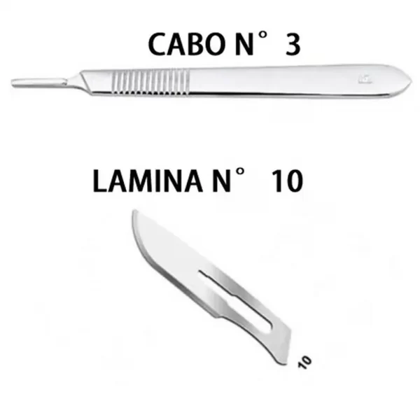 Lamina De Bisturi Aço Carbono Nº 10 C/100 - Descarpack - Image 2